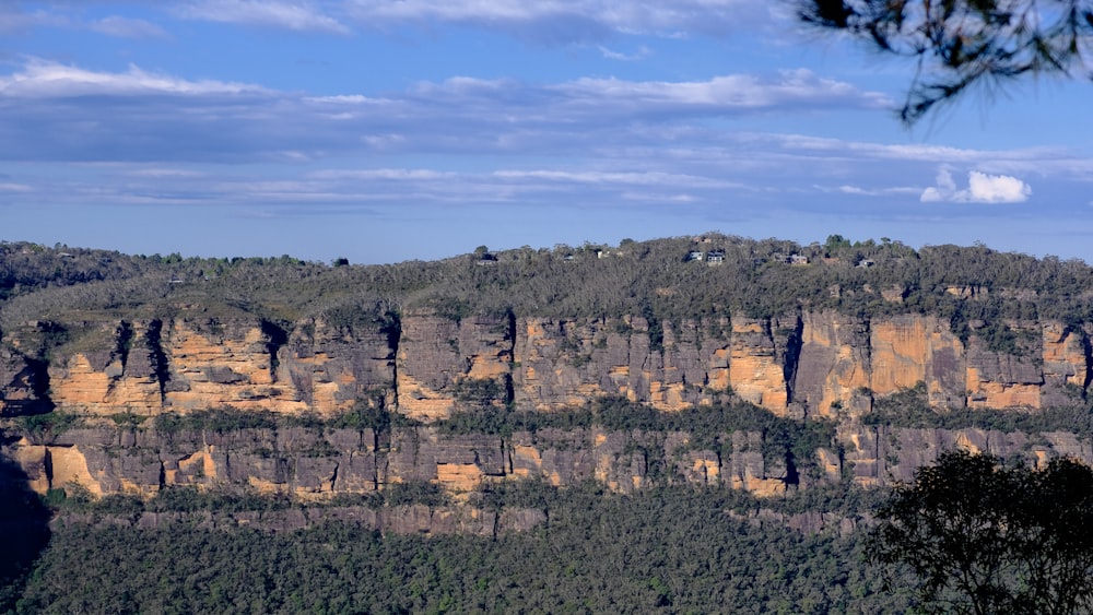 a view of the blue mountains from the top of a hill