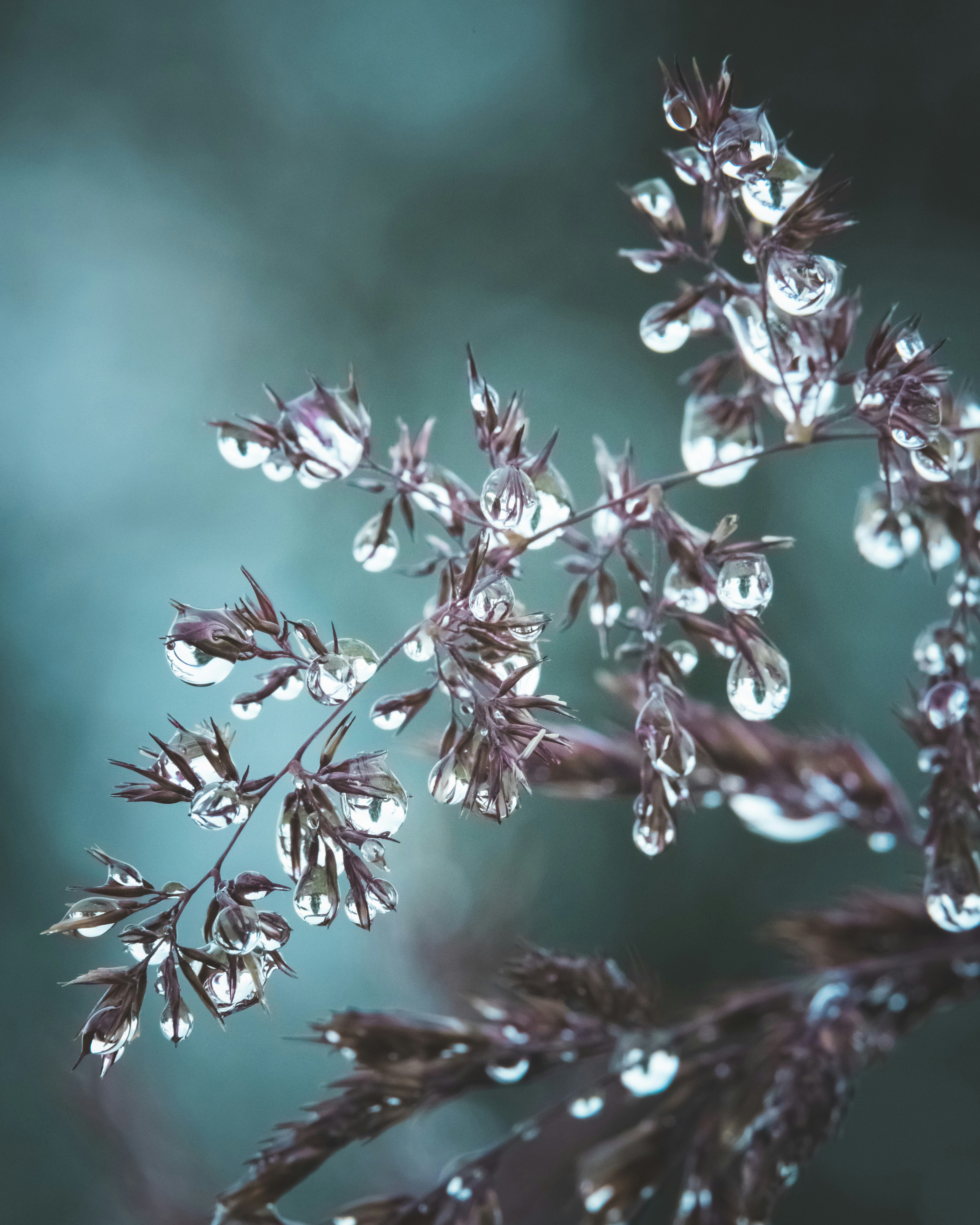 Photo by armandsbrants