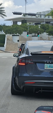 A black Tesla car is at a traffic light intersection, visible from the rear. The vehicle has a Florida license plate, and the traffic light is green. Another car is in front of the Tesla. In the background, there are trees, stairs leading up to a building, and a cloudy sky with a palm tree on the left.