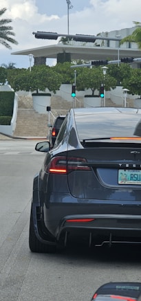 A black Tesla car is at a traffic light intersection, visible from the rear. The vehicle has a Florida license plate, and the traffic light is green. Another car is in front of the Tesla. In the background, there are trees, stairs leading up to a building, and a cloudy sky with a palm tree on the left.