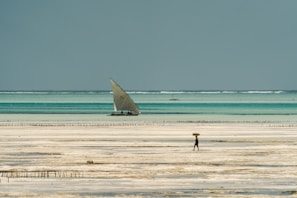 Colorful dhows sailing on the turquoise waters off Zanzibar’s pristine beaches