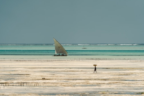 Traditional Omani dhow sailing on the turquoise waters of the Arabian Sea.