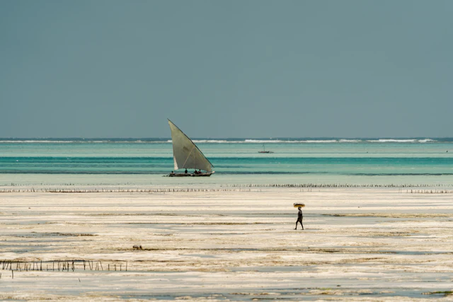 A traditional dhow sailing past the beach at Jambiani, Zanzibar