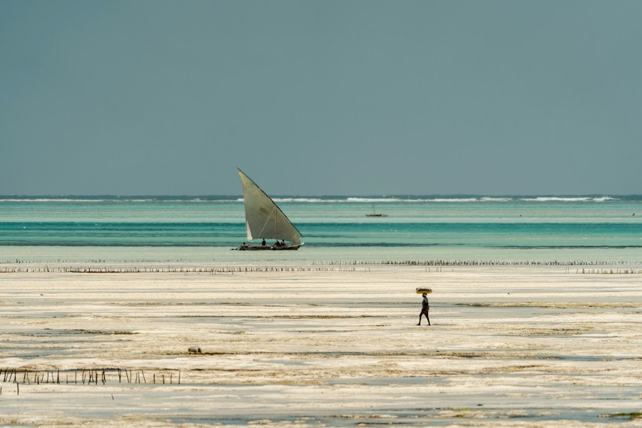 Indian Ocean Trade Routes: The Monsoon Highways of Commerce
