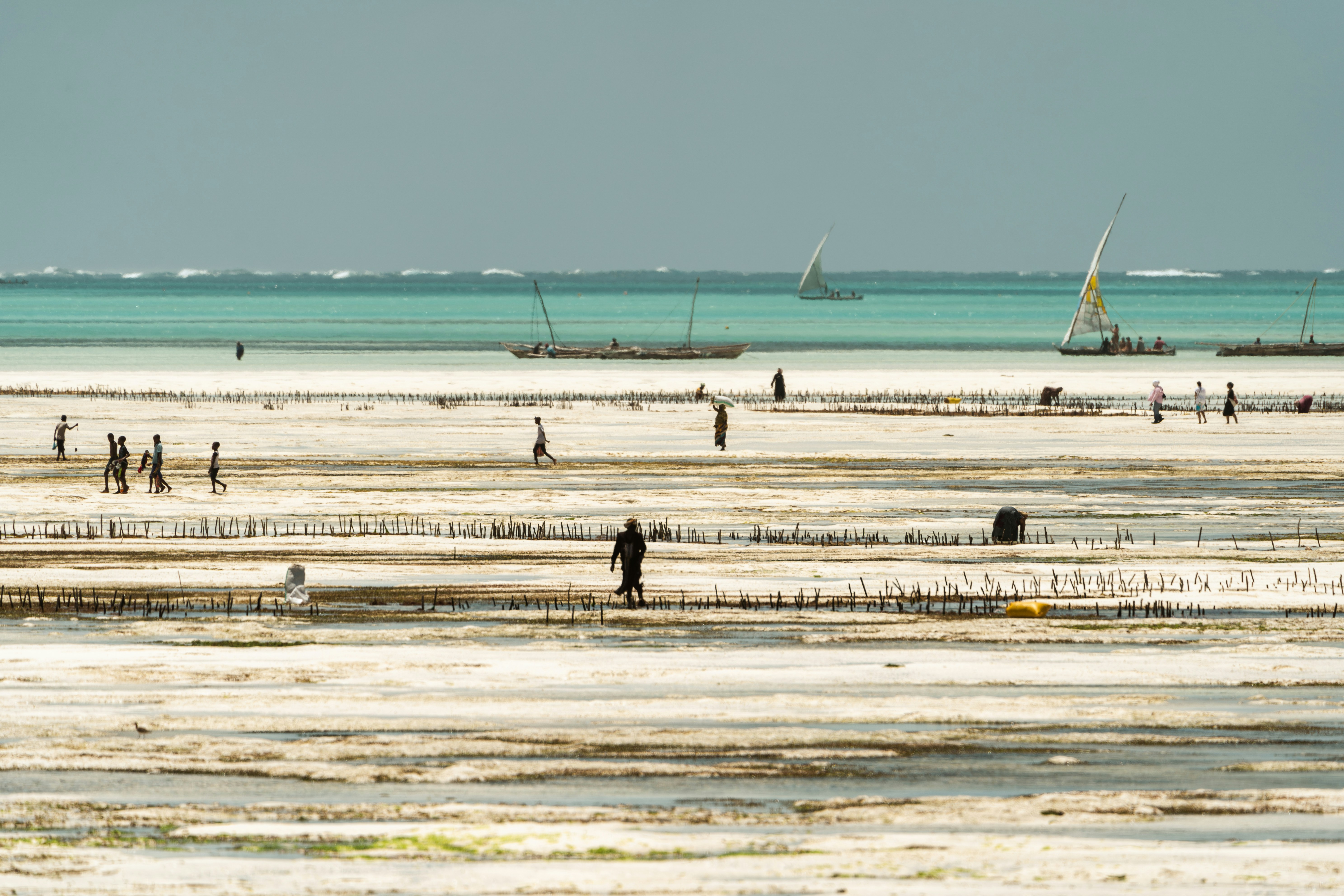 Bezpośrednie loty z Amsterdamu na Zanzibar
