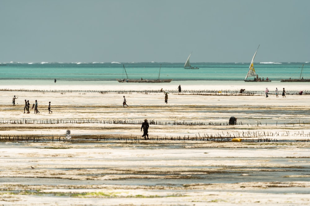 a group of people standing on top of a sandy beach