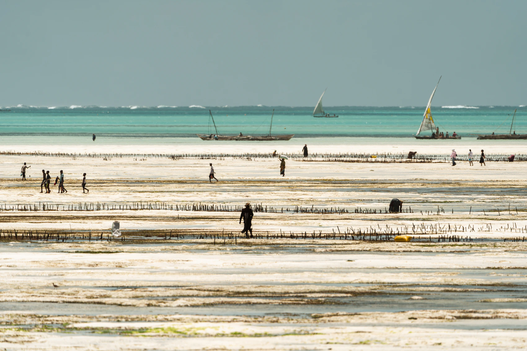 People working and walking across the coast at low tide in Jambiani, Zanzibar