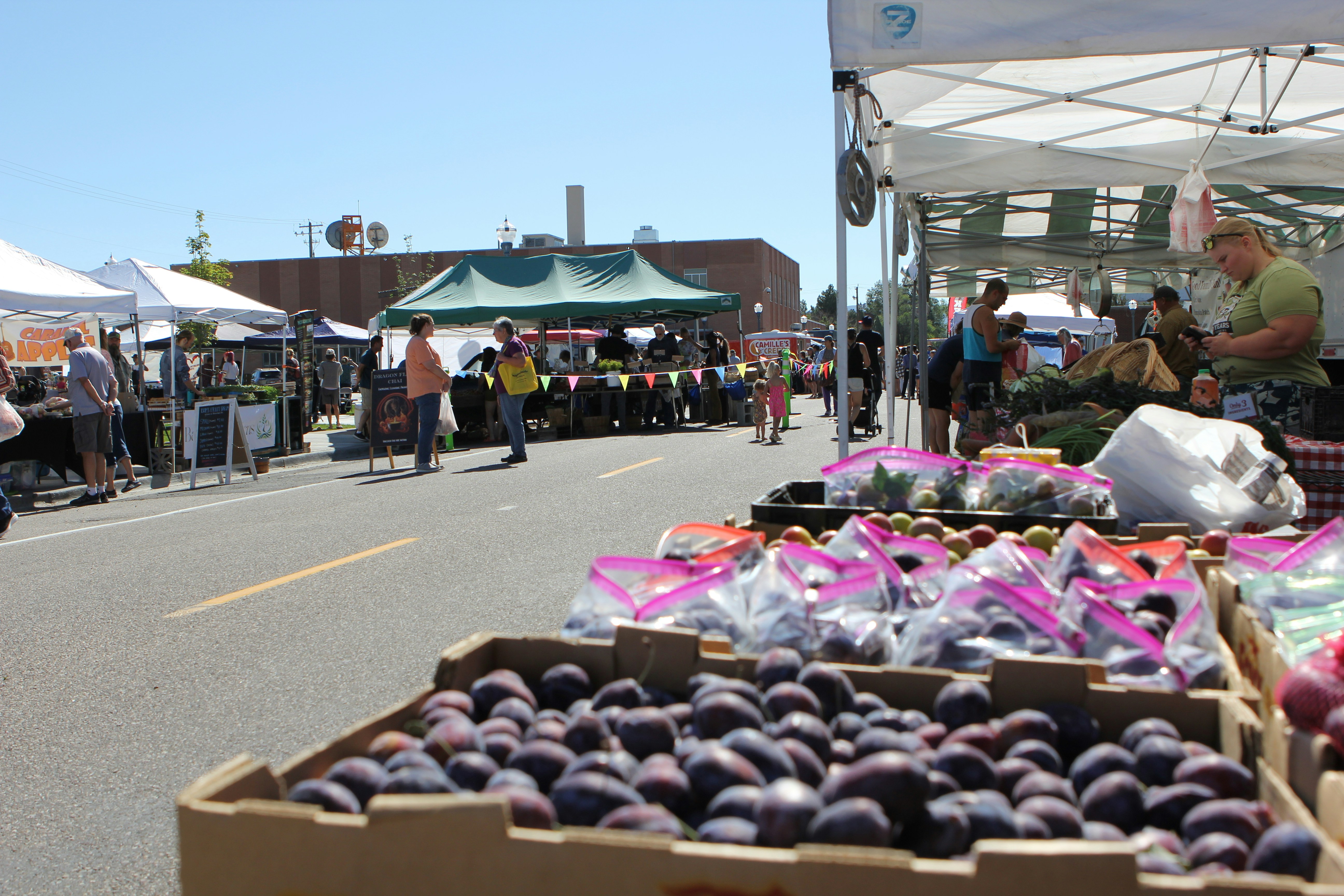 Colourful fresh produce stalls at outdoor farmers market on sunny morning