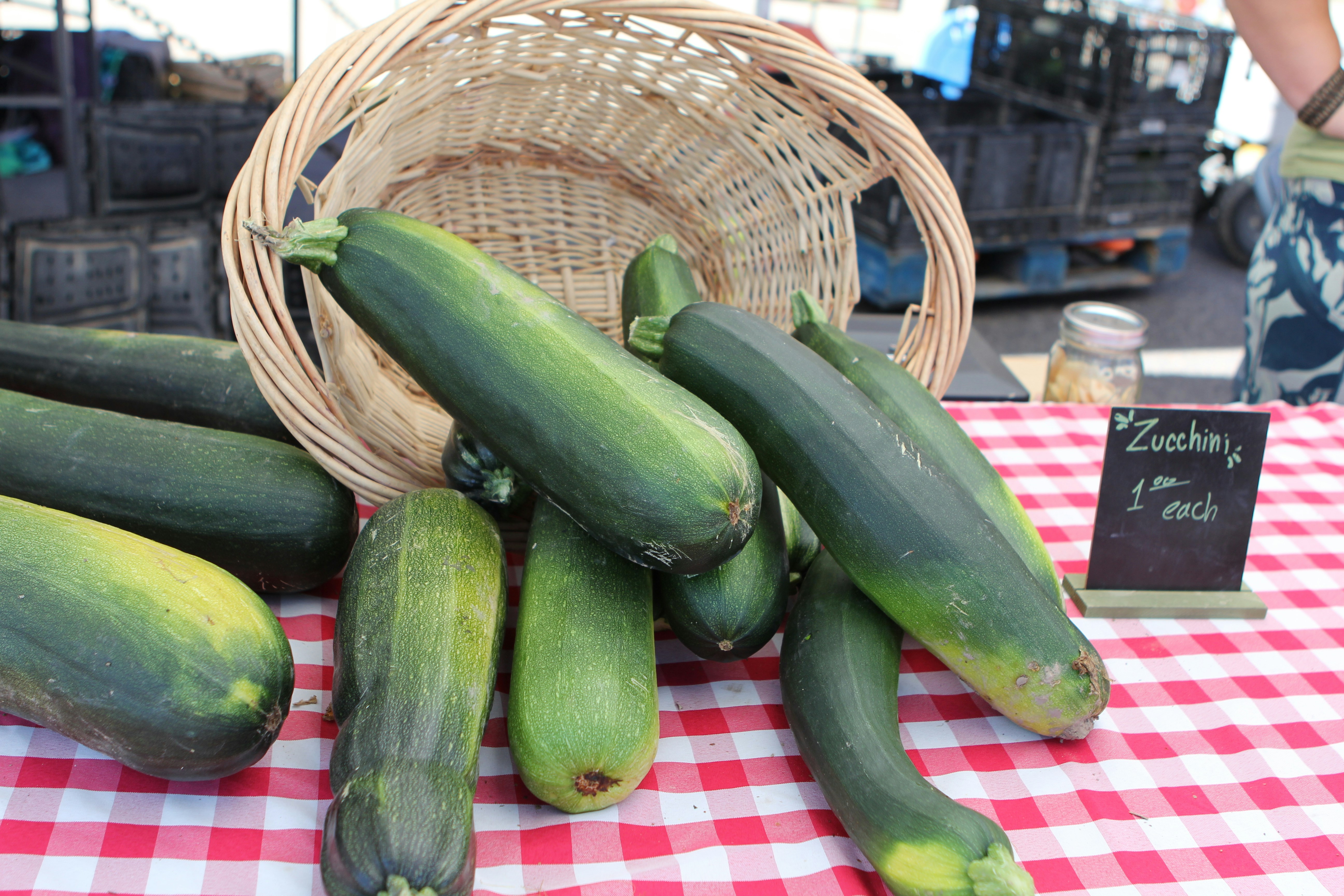 Photo by judy_beth_morris_idaho