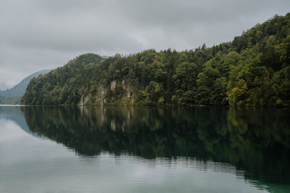 a large body of water surrounded by trees