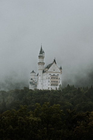 A grand, fairytale-like castle stands majestically atop a forested hill. Its towers and spires pierce through the mist and clouds that cover the scene, creating a mystical atmosphere.