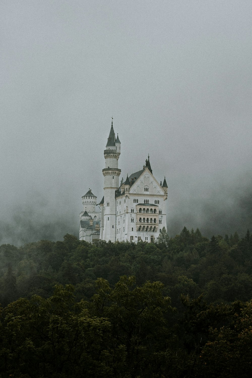 a large white castle sitting on top of a lush green forest