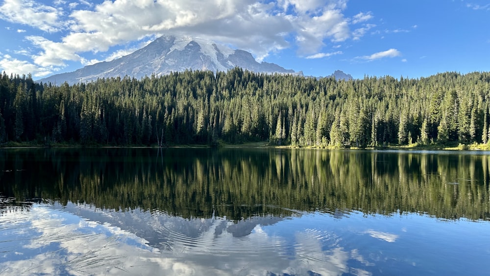 a lake with a mountain in the background