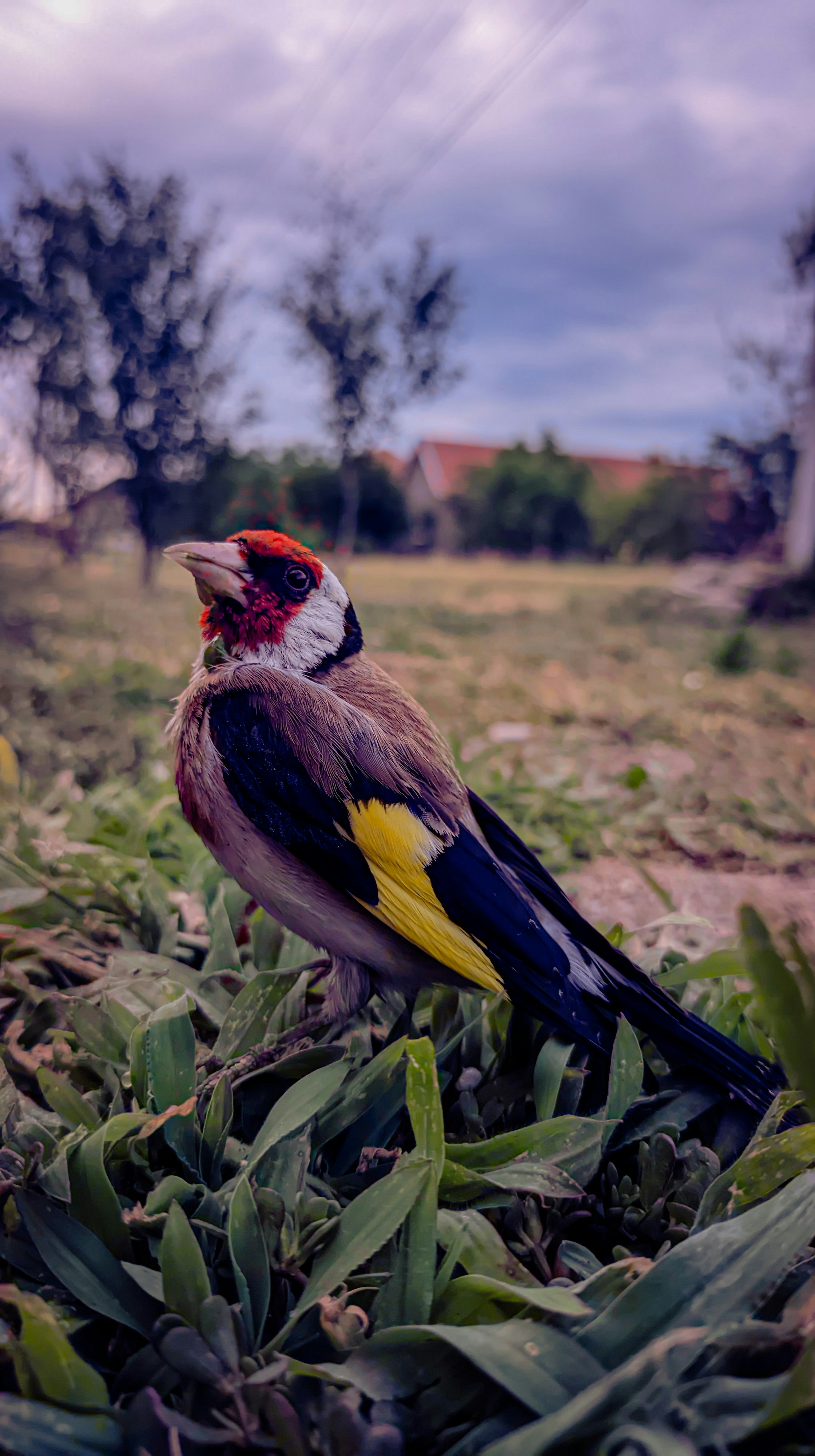 WELL, THAT WILL HAVE HAPPENED: TITLE GAME PREVIEW