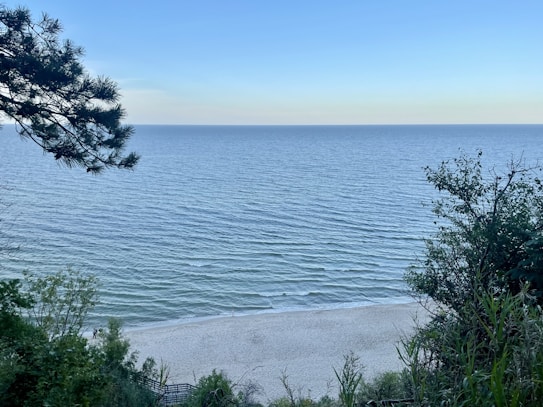 A peaceful beach scene featuring a large expanse of calm blue ocean meeting the horizon. In the foreground, lush green foliage frames the view, with branches and bushes on both sides. Below, a narrow sandy beach stretches across the bottom, gently kissed by small waves.
