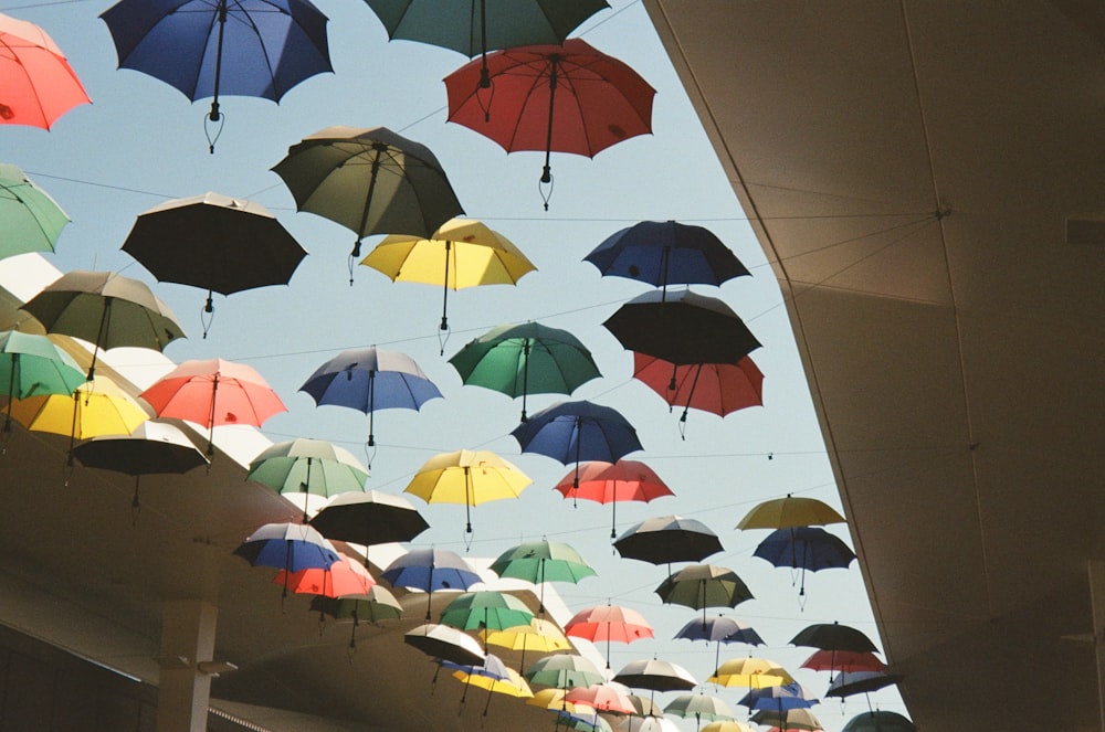 a group of multicolored umbrellas hanging from a ceiling