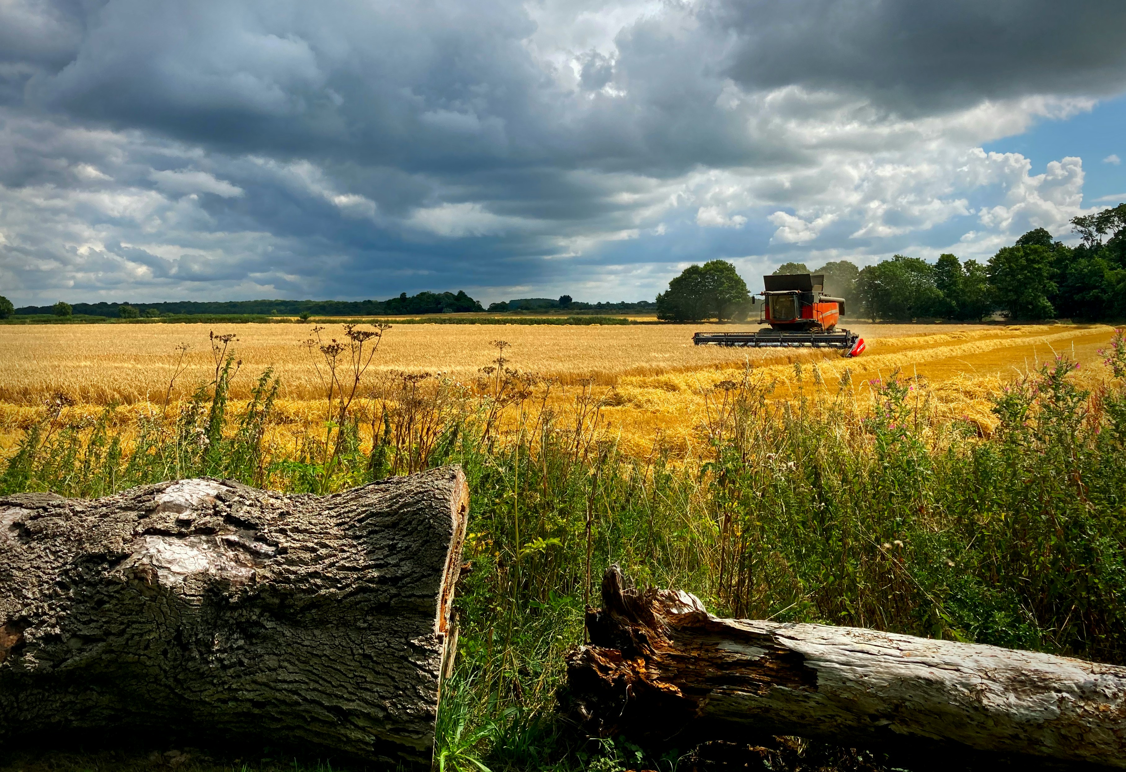 a big field with a big truck in the middle of it