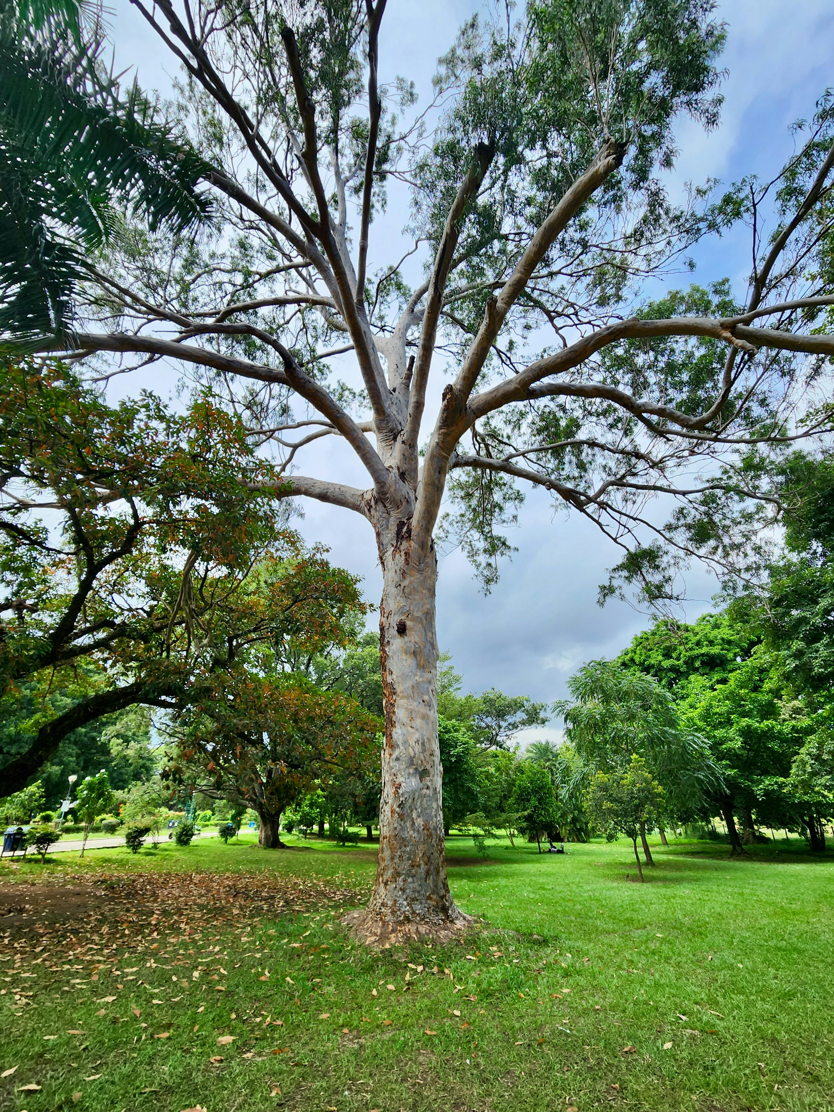 Photo by zoshuacolah