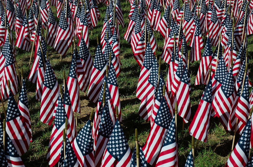 a field full of american flags with a sky background