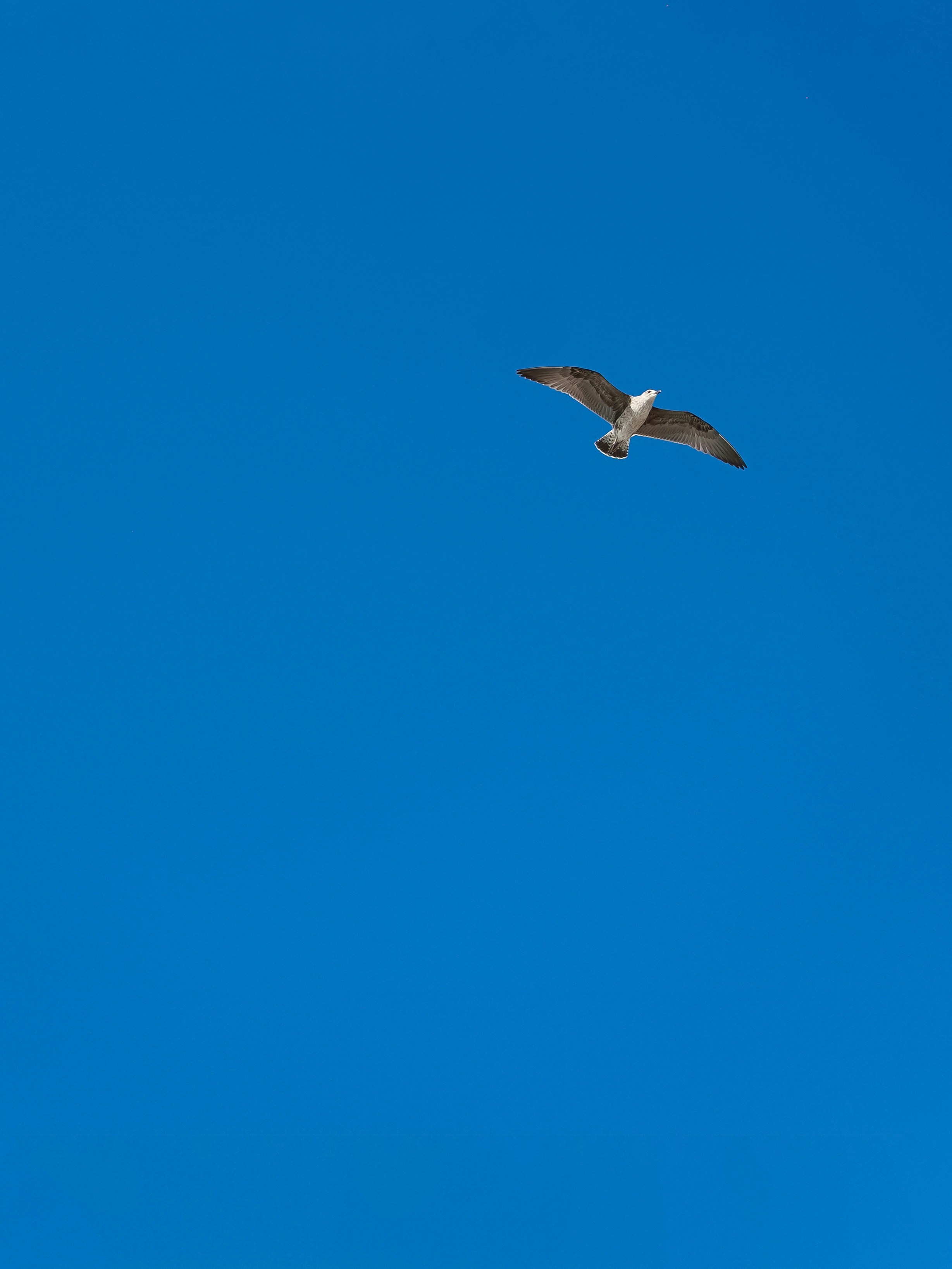 Photo by shojolislam