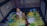 An infant is seated in a colorful playpen surrounded by multicolored plastic balls. The play area has a vibrant mat with playful designs including trees and animals. The baby is looking upwards, wearing a sleeveless outfit. Various toys and a diaper are scattered around.