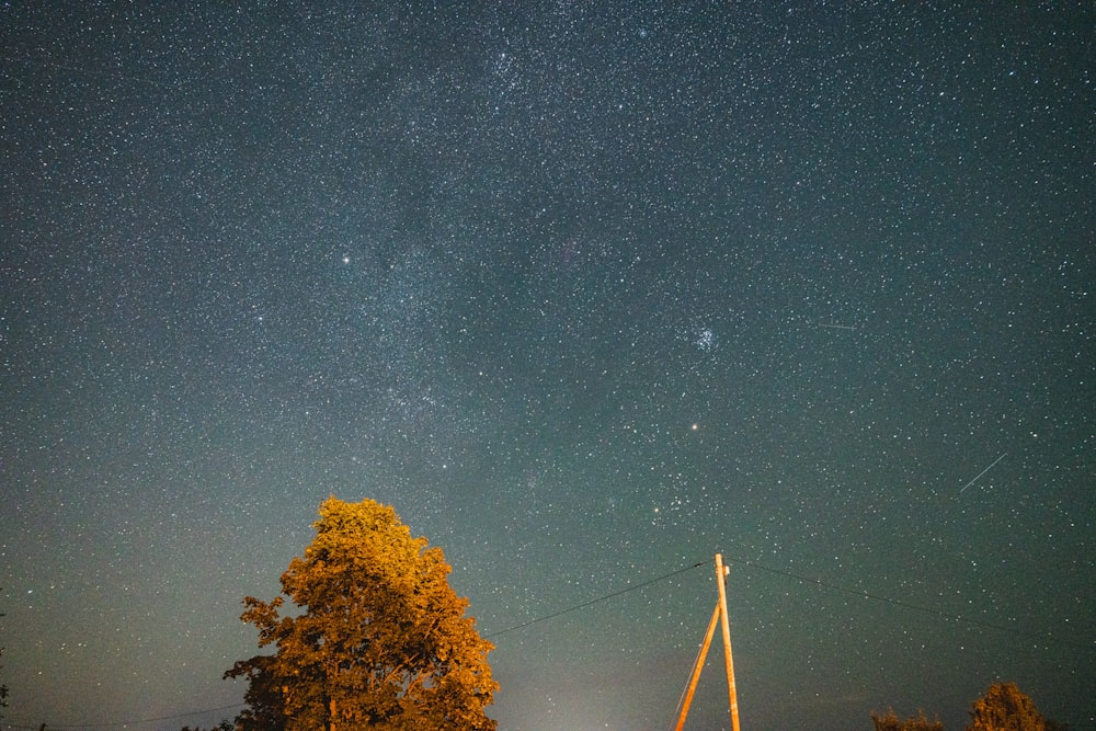 the night sky with the stars above the trees