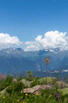 A panoramic shot of jagged peaks under a bright blue sky, with wildflowers in the foreground.