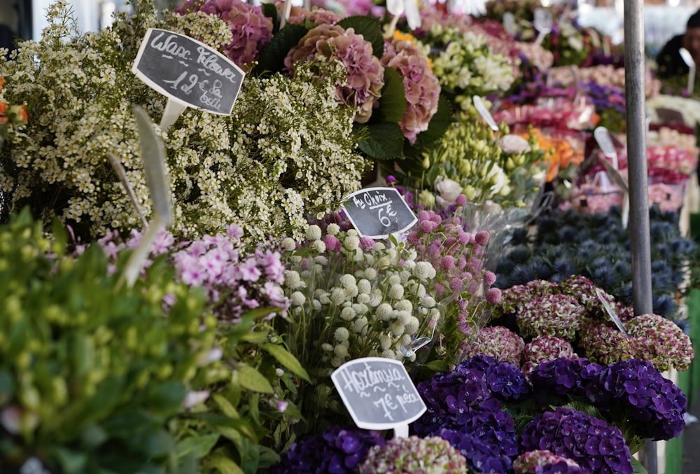 a bunch of flowers for sale at a market