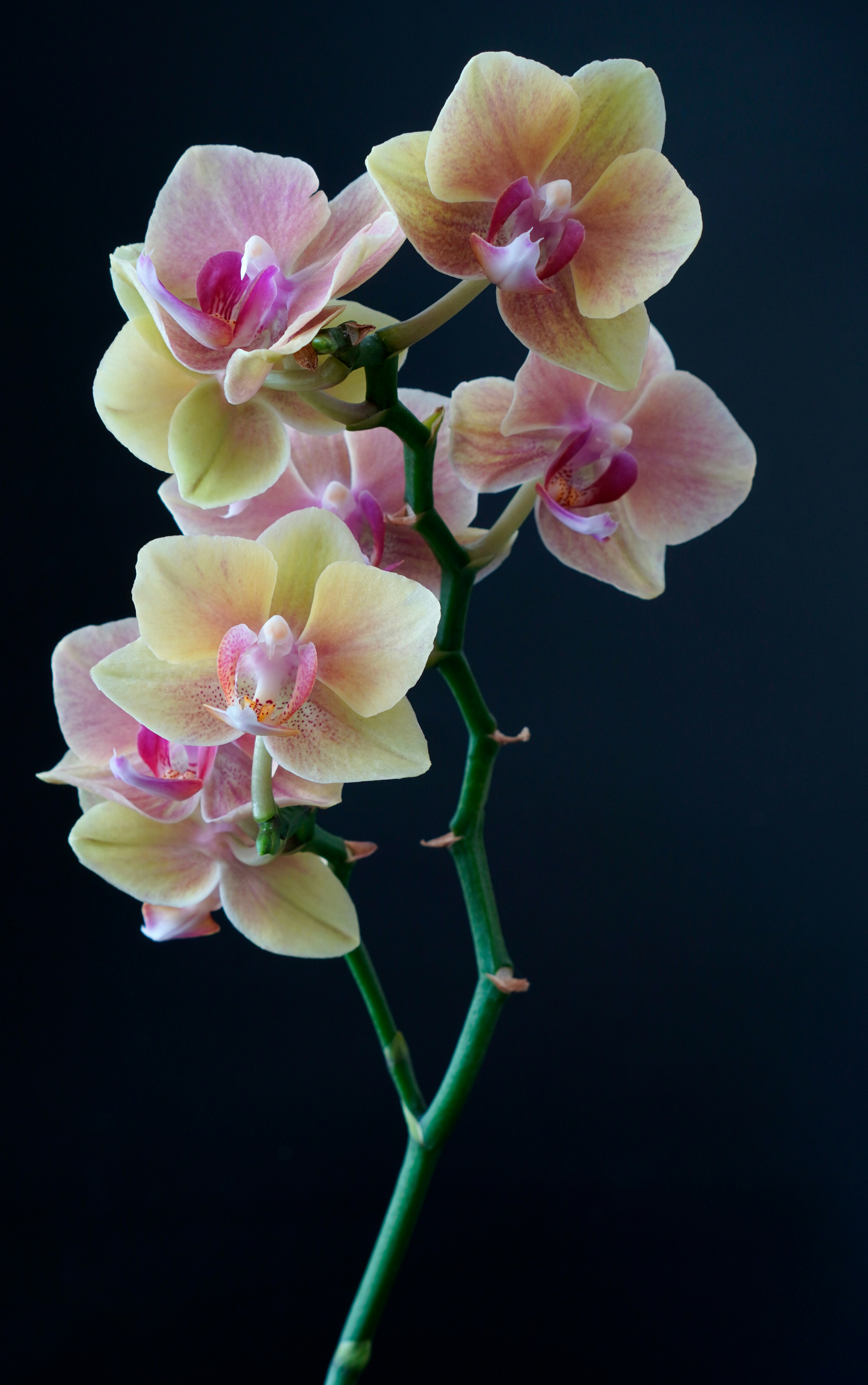 Photo by nataliagasiorowska
