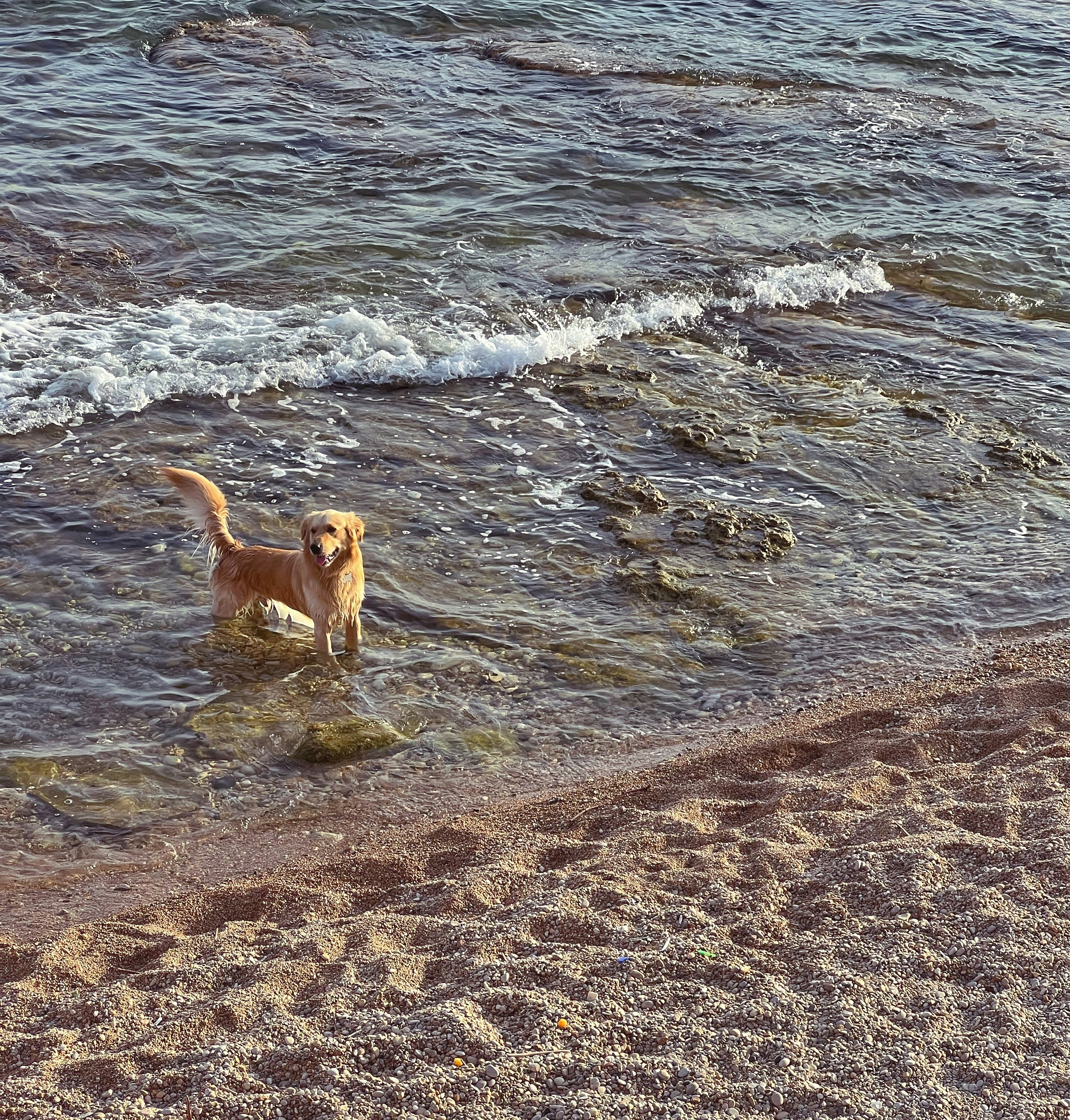 Photo by jekkiliciouss