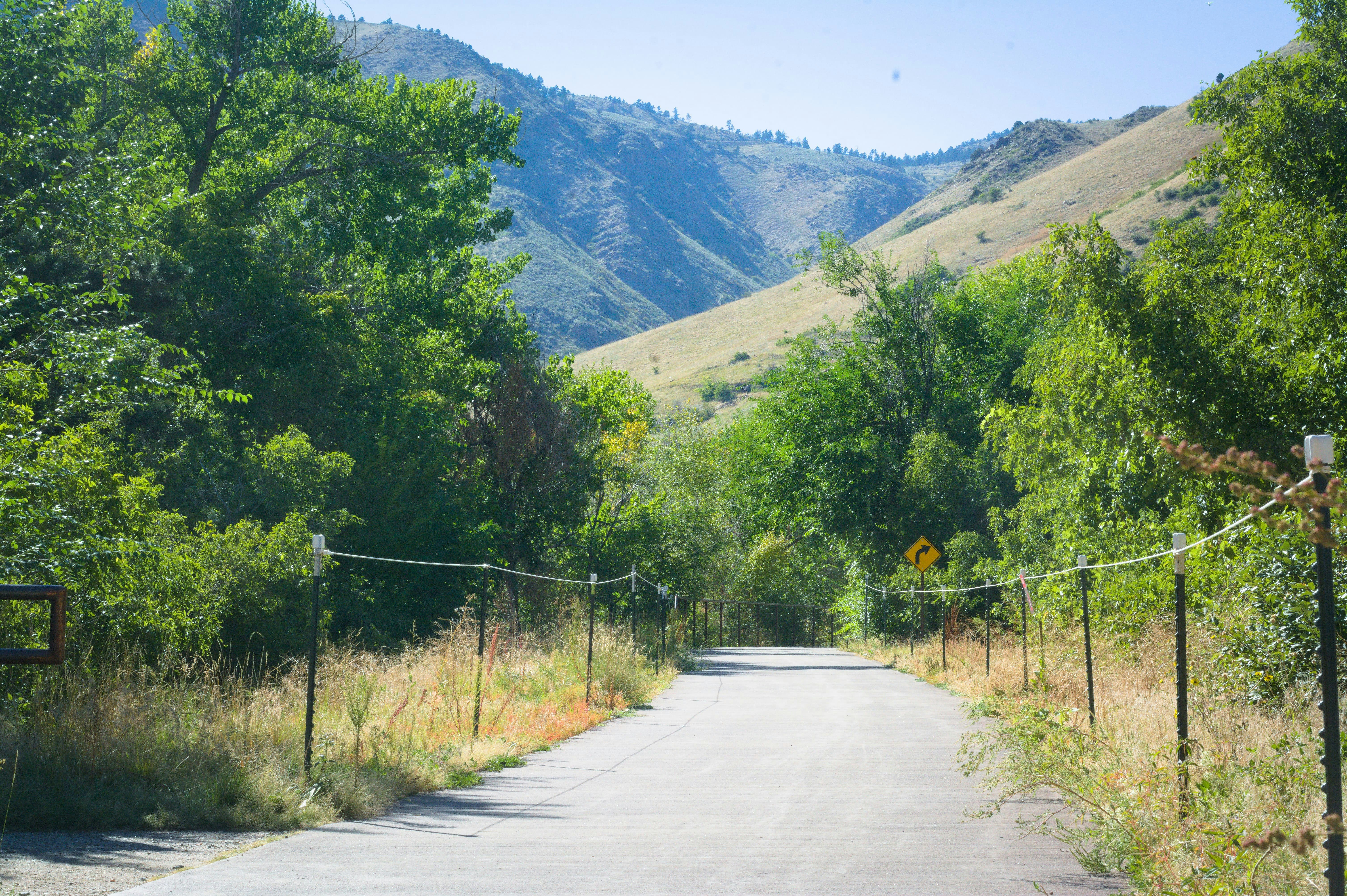 an empty road surrounded by trees and mountains, 