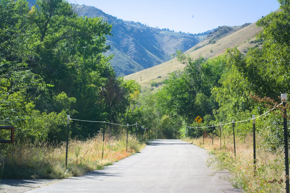 an empty road surrounded by trees and mountains