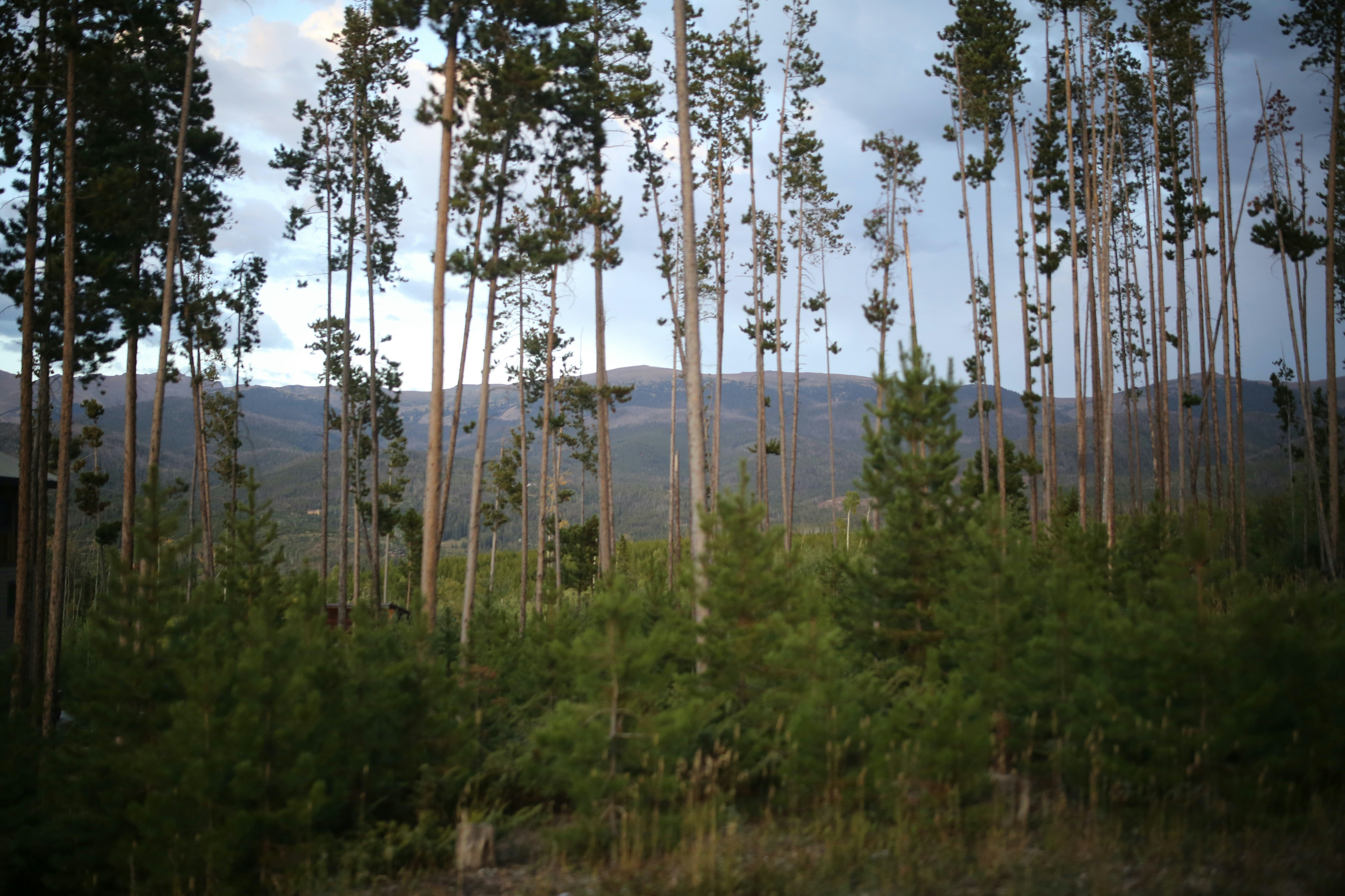 Photo by sthomanns