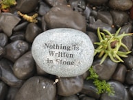 a rock that says nothing is written in stone