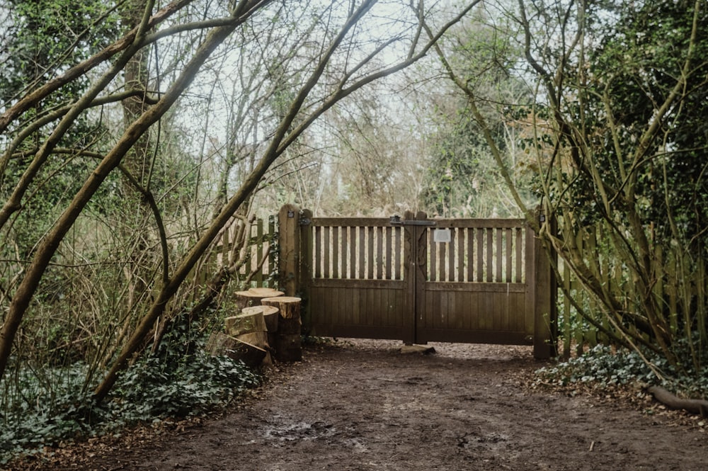 a wooden gate in the middle of a forest