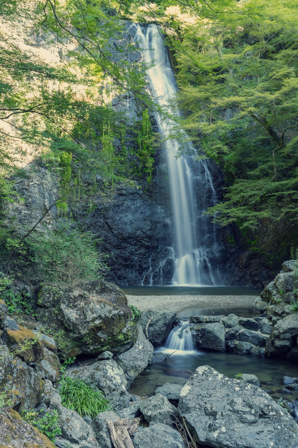 a waterfall in the middle of a forest