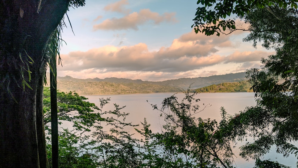 a view of a lake through some trees