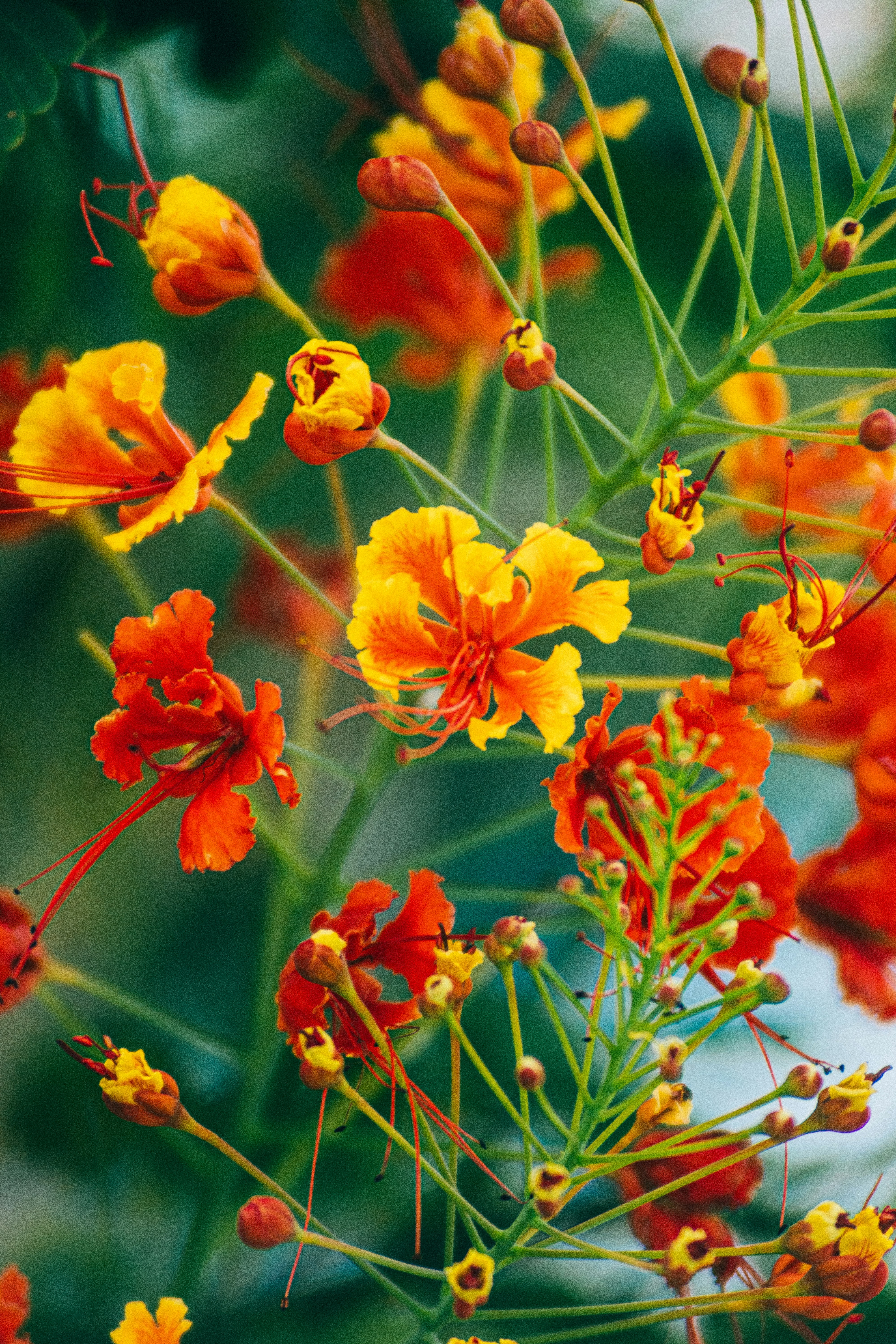 Photo by jonathecreator