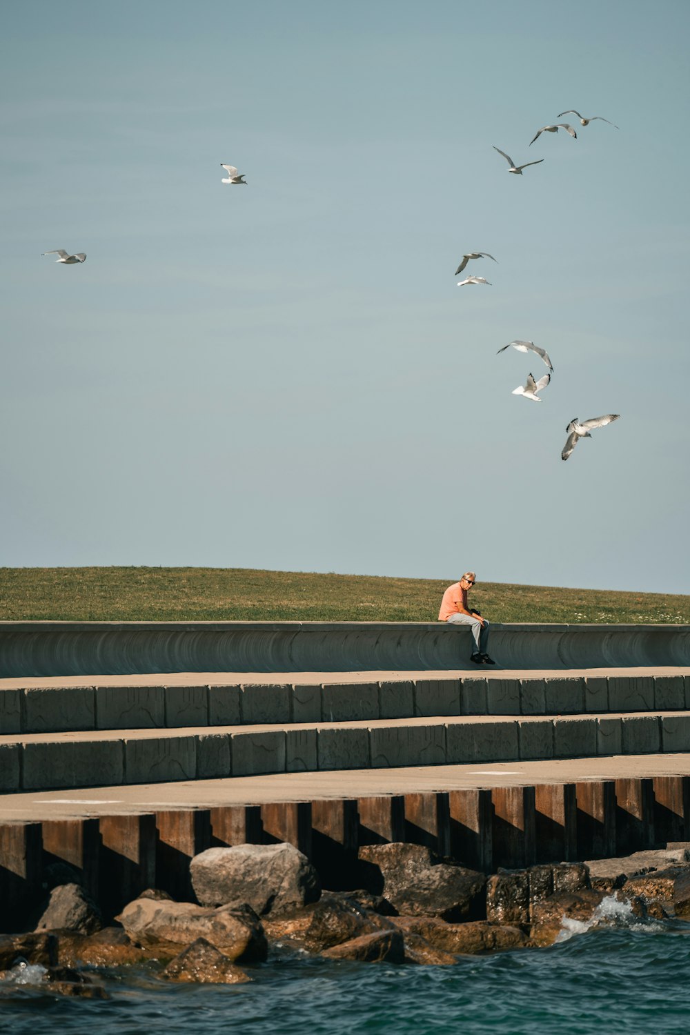 a man sitting on a pier watching seagulls fly overhead