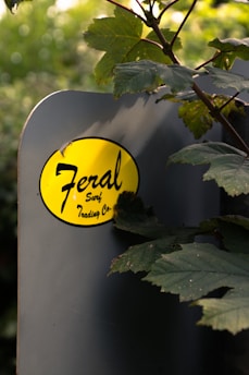A close-up view of a surfboard with a yellow oval sticker that reads 'Feral Surf Trading Co.' The surfboard is partially obscured by large green leaves from a nearby plant, and there is soft, natural light illuminating the scene with greenery in the blurred background.