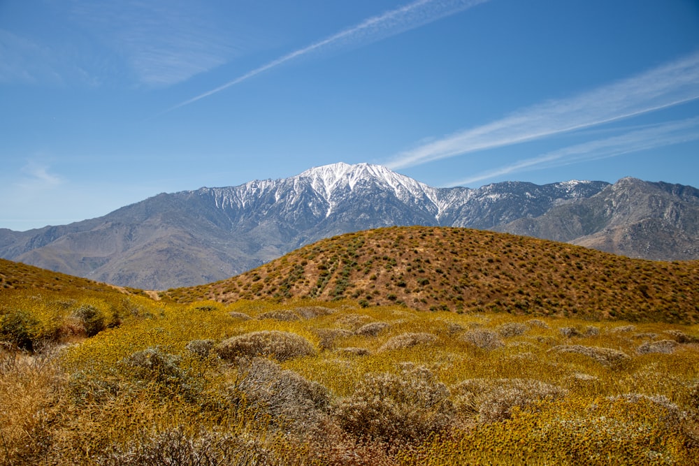 a view of a mountain range in the distance