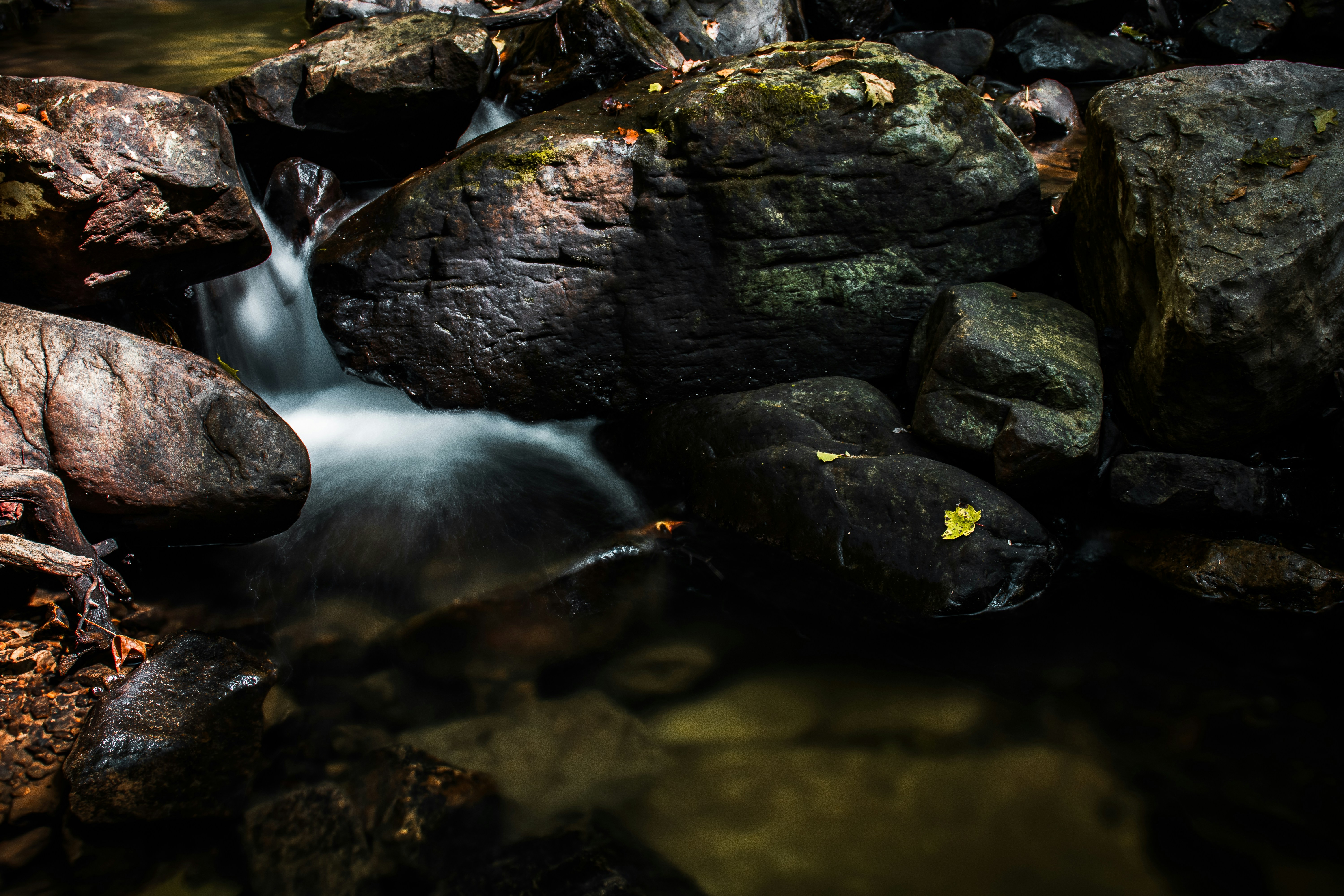 Photo by brice_cooper18