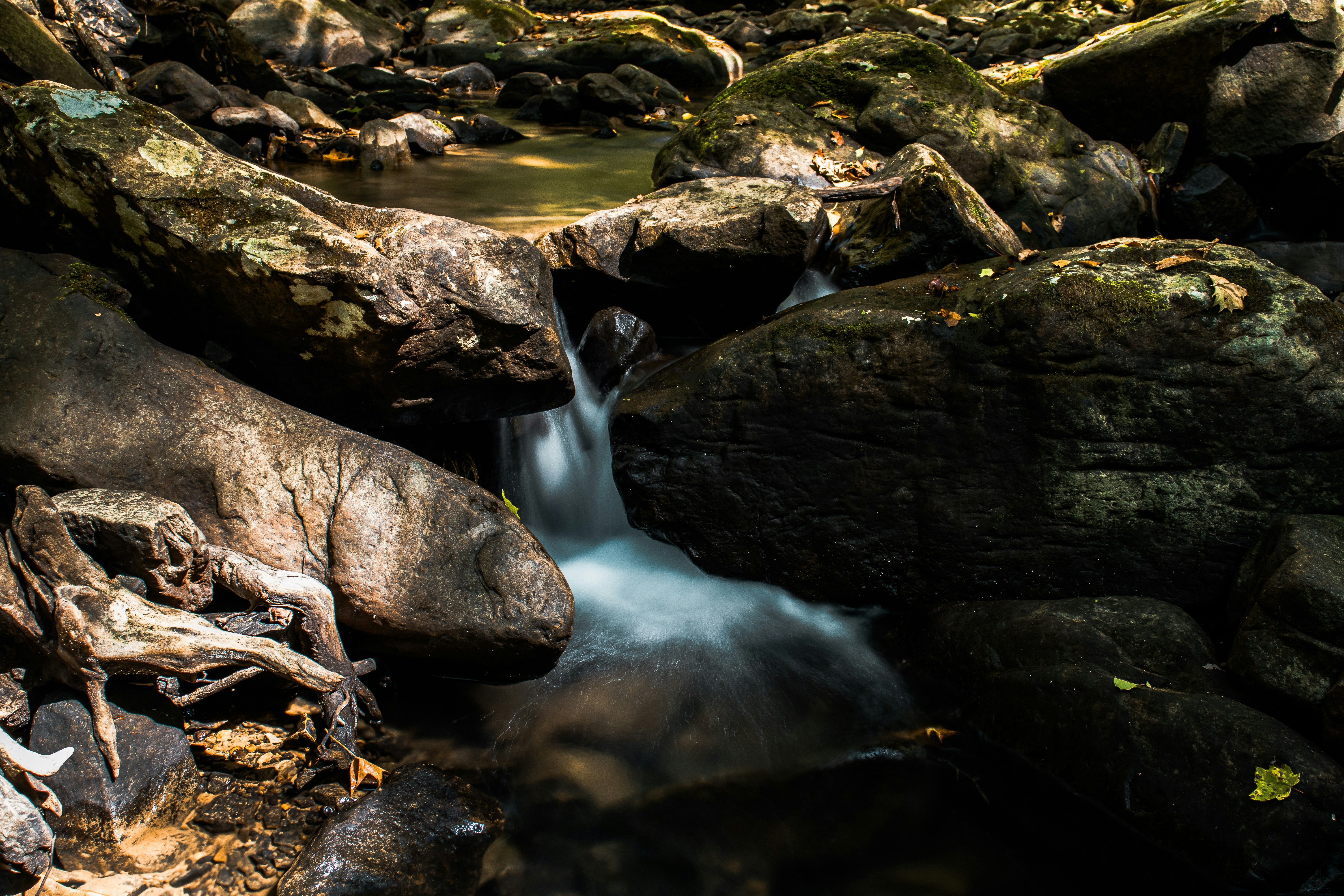 Photo by brice_cooper18