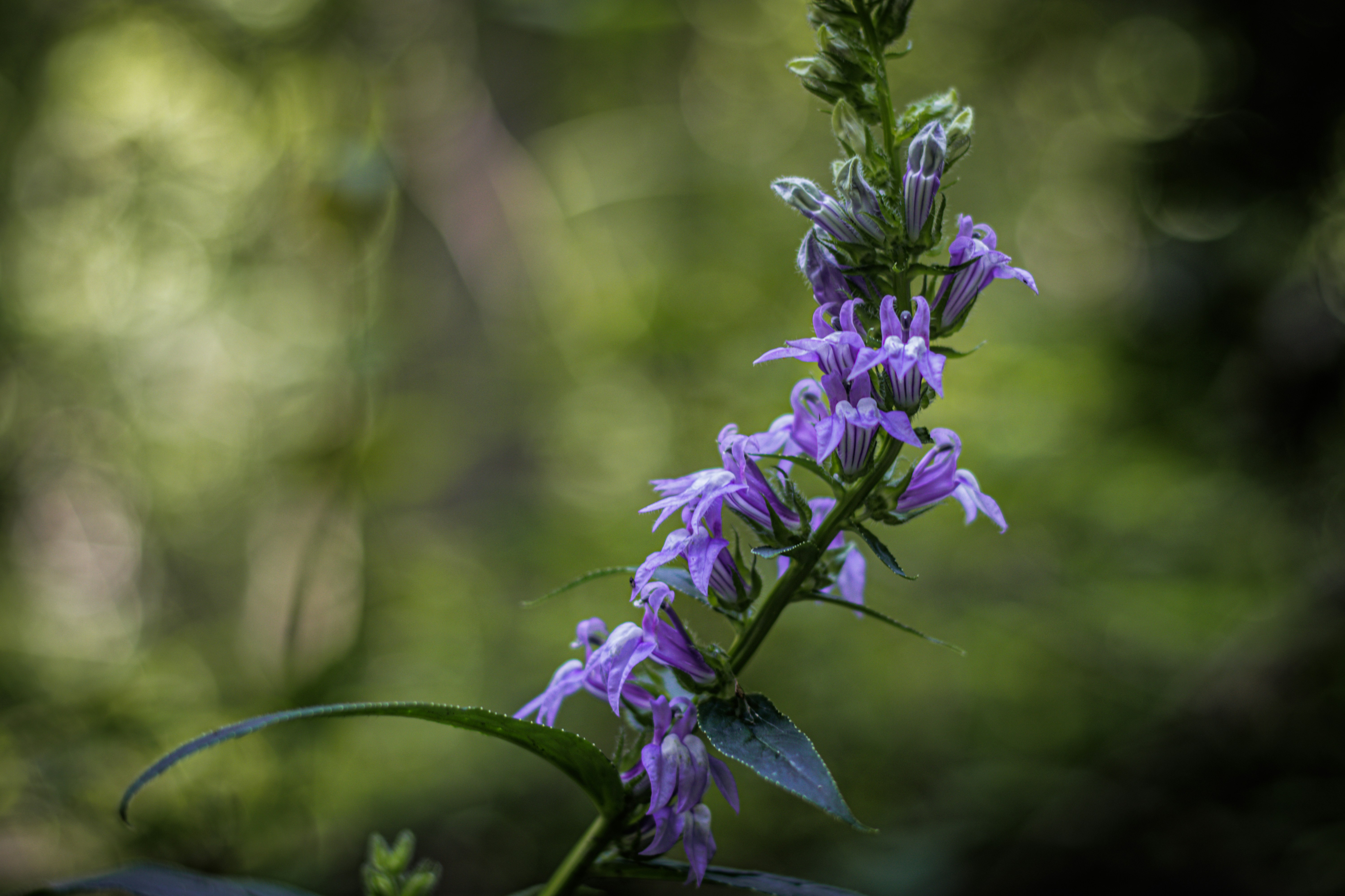 Photo by brice_cooper18