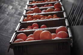 Workers carefully packing fresh oranges in sustainable crates