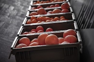 Bright orange kinnows neatly arranged in rows, ready for packing and shipment.