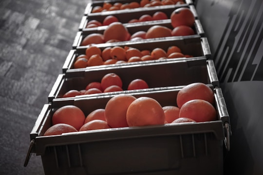 Rows of temperature-controlled storage units filled with ripe oranges ready for shipment.