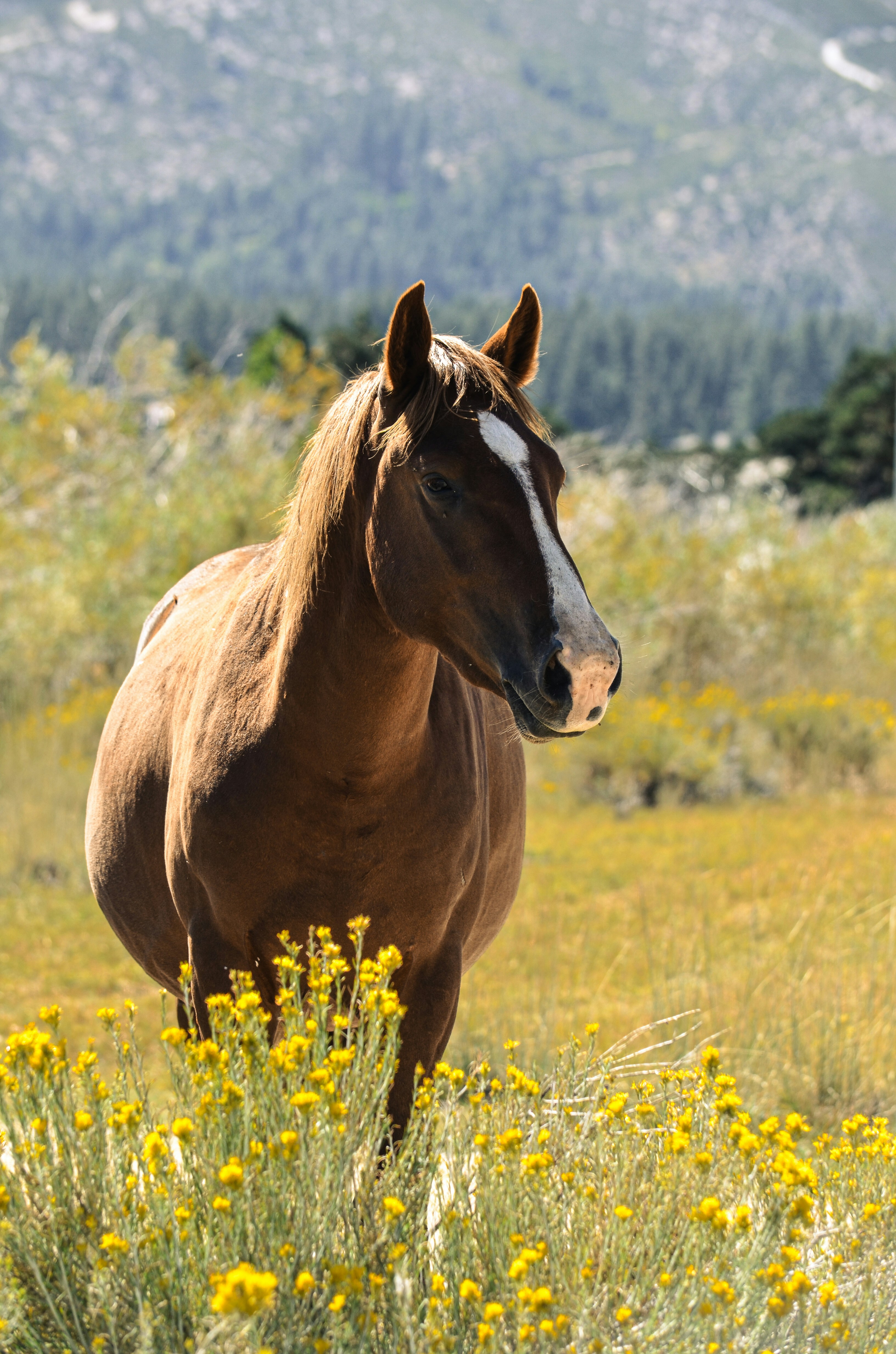 Photo by rachel_joyce