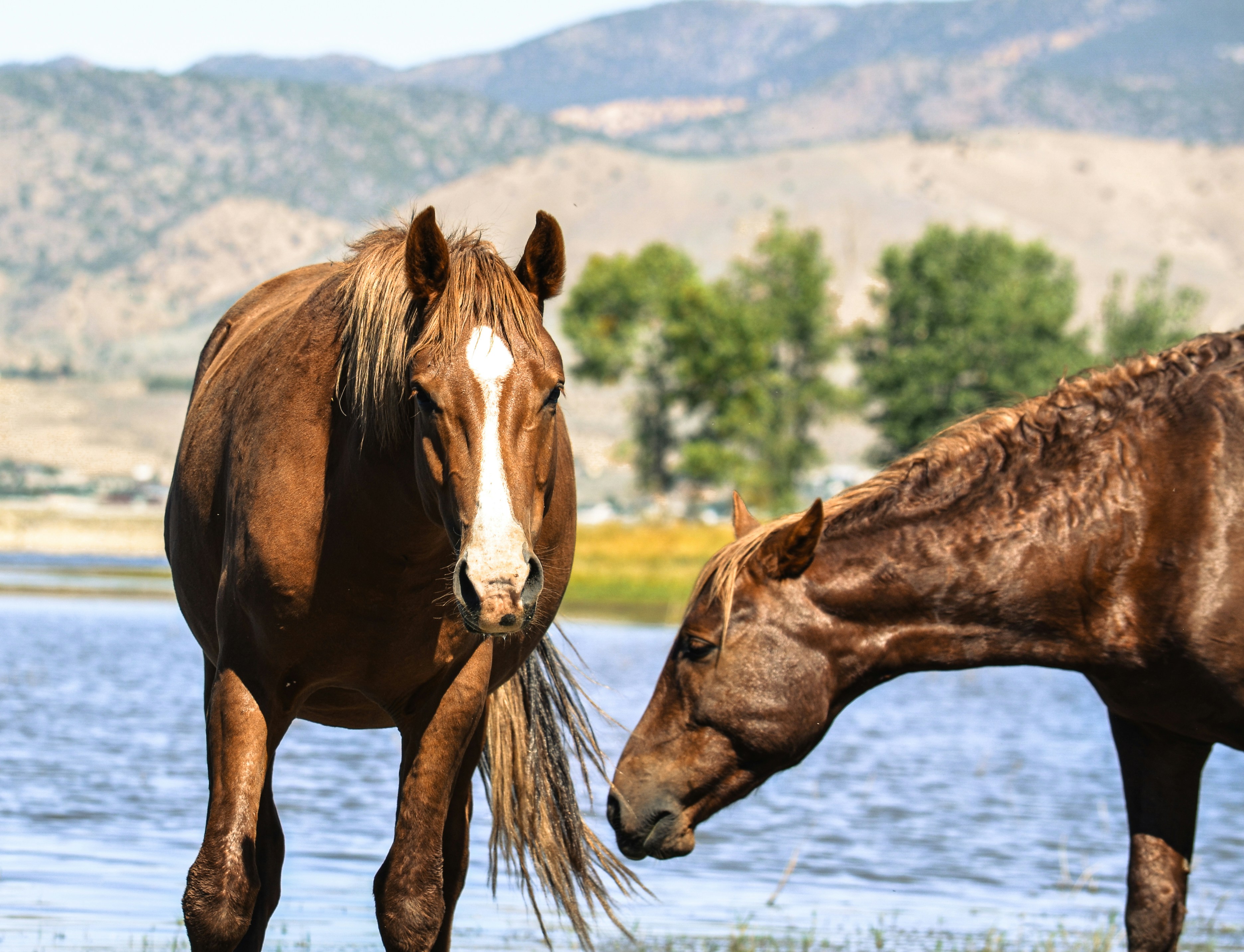 Photo by rachel_joyce