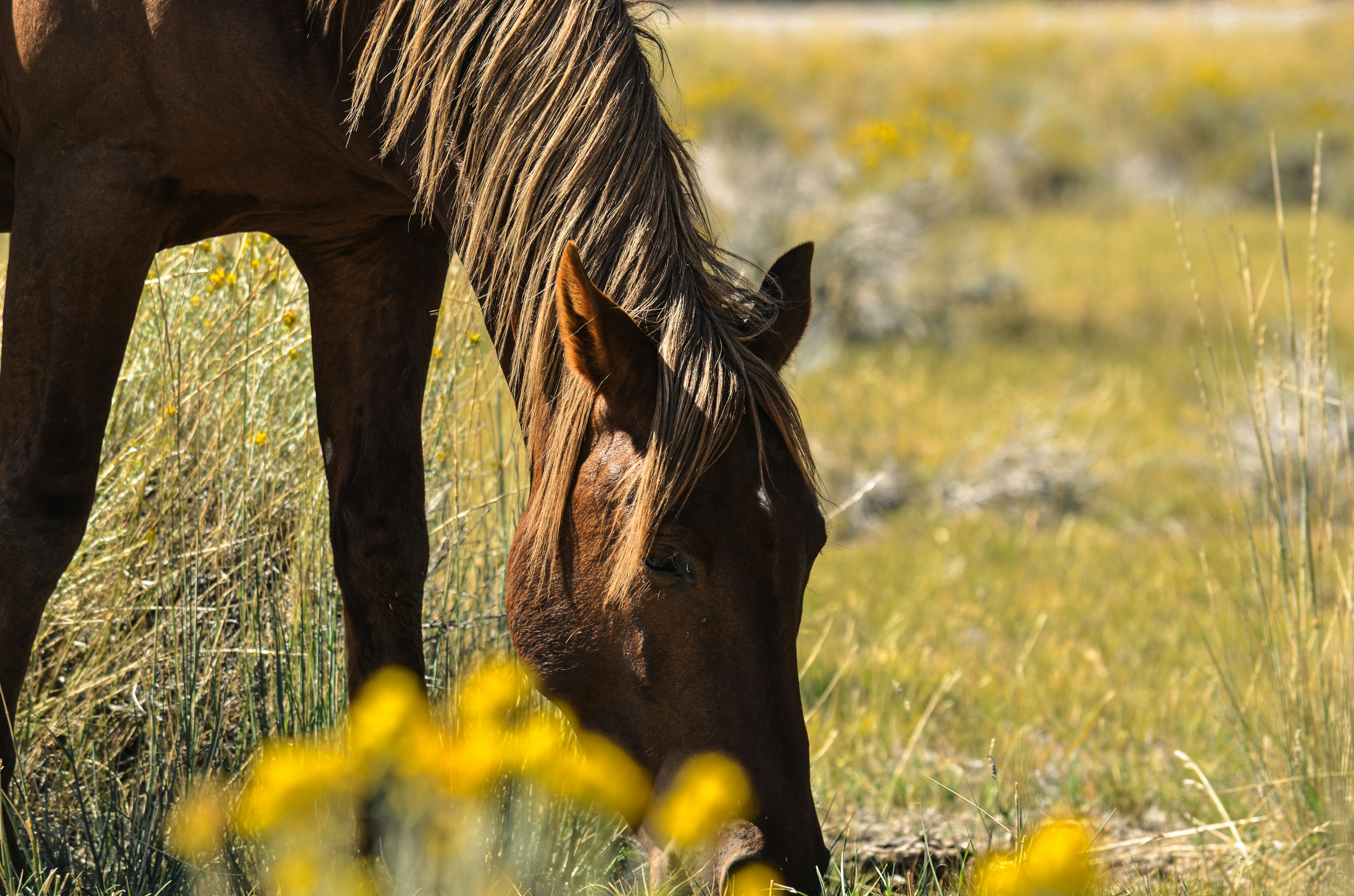 Photo by rachel_joyce